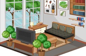 Vacation Home Set Up